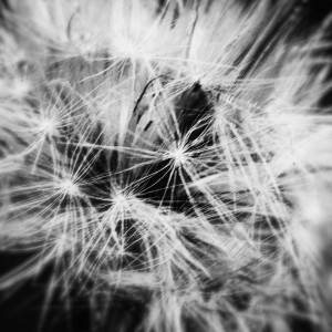 PSX_20200911_083232