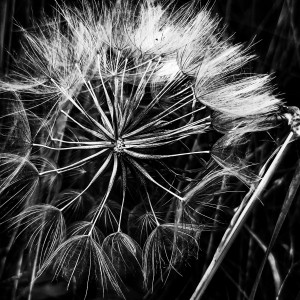 20200712_181821-01-01