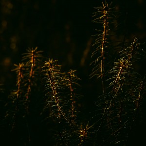 PSX_20211008_135245