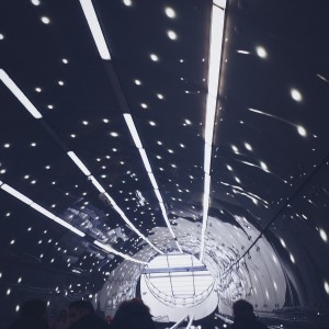 New Aesthetic Photo - Miejska Dżungla