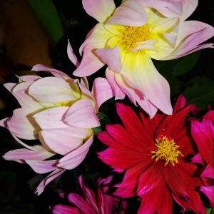 IMG_20201123_140208