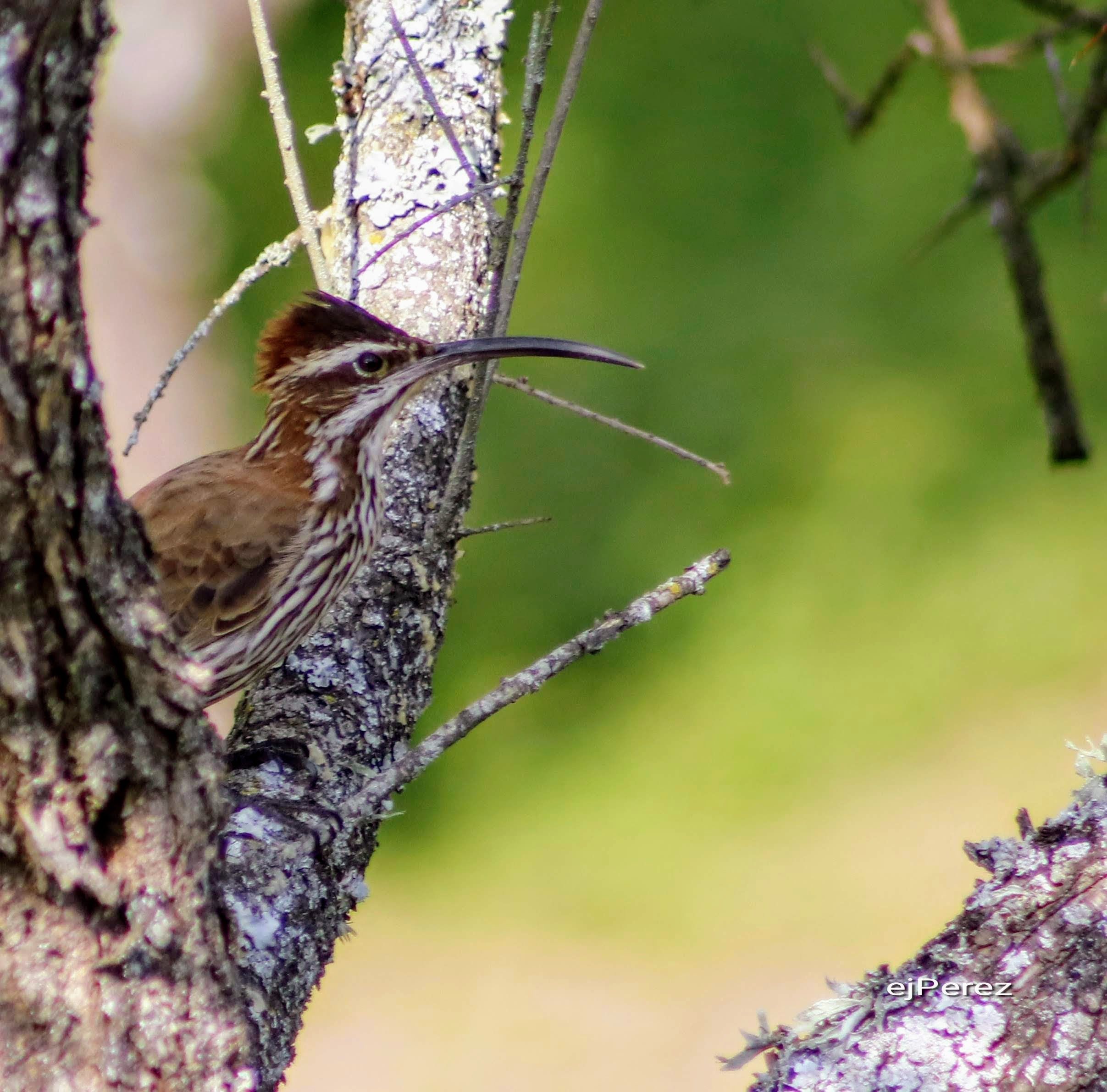 AddText_03-11-06.17.03