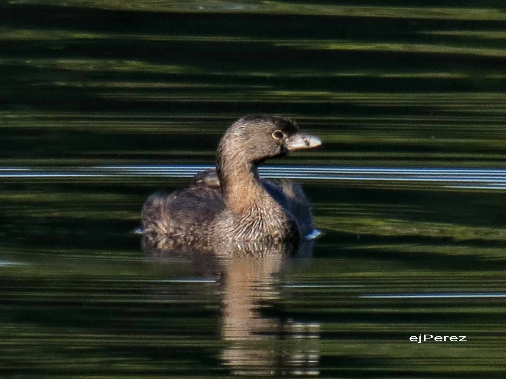 AddText_04-21-04.06.05