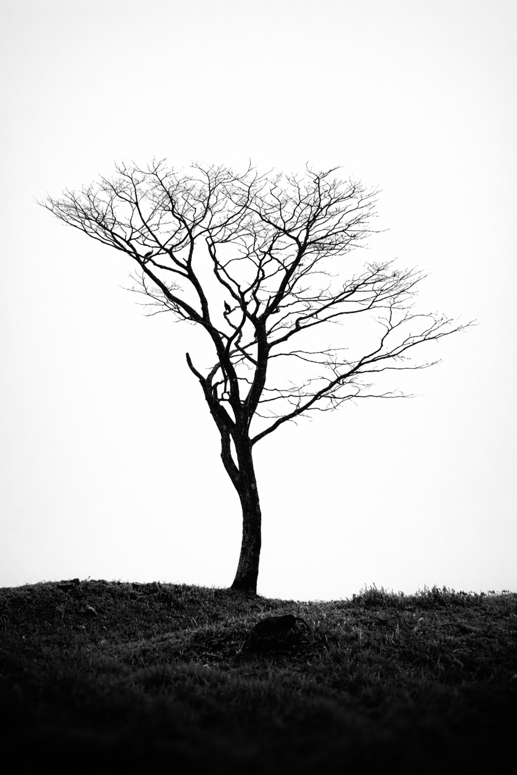 file_000000003f00720ebd37a442dac4b17d