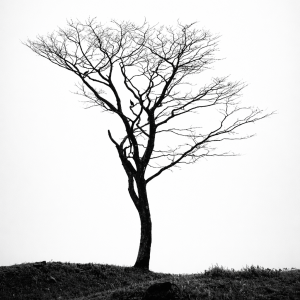 file_000000003f00720ebd37a442dac4b17d