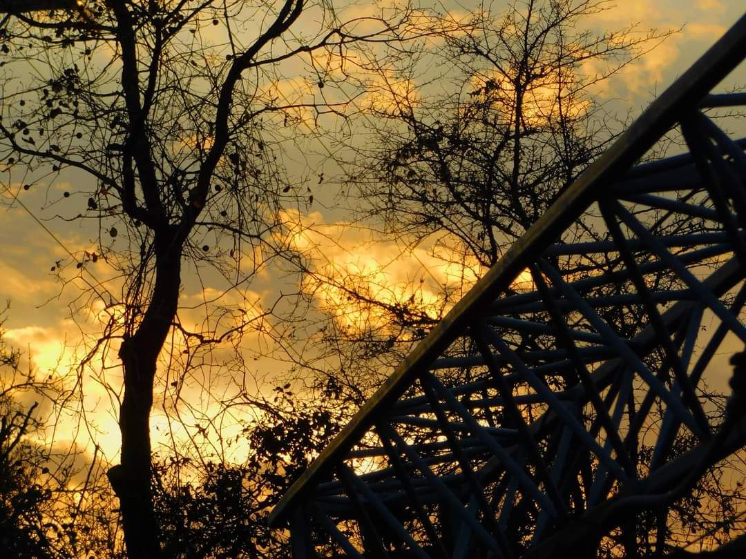 inbound6910859518816242867