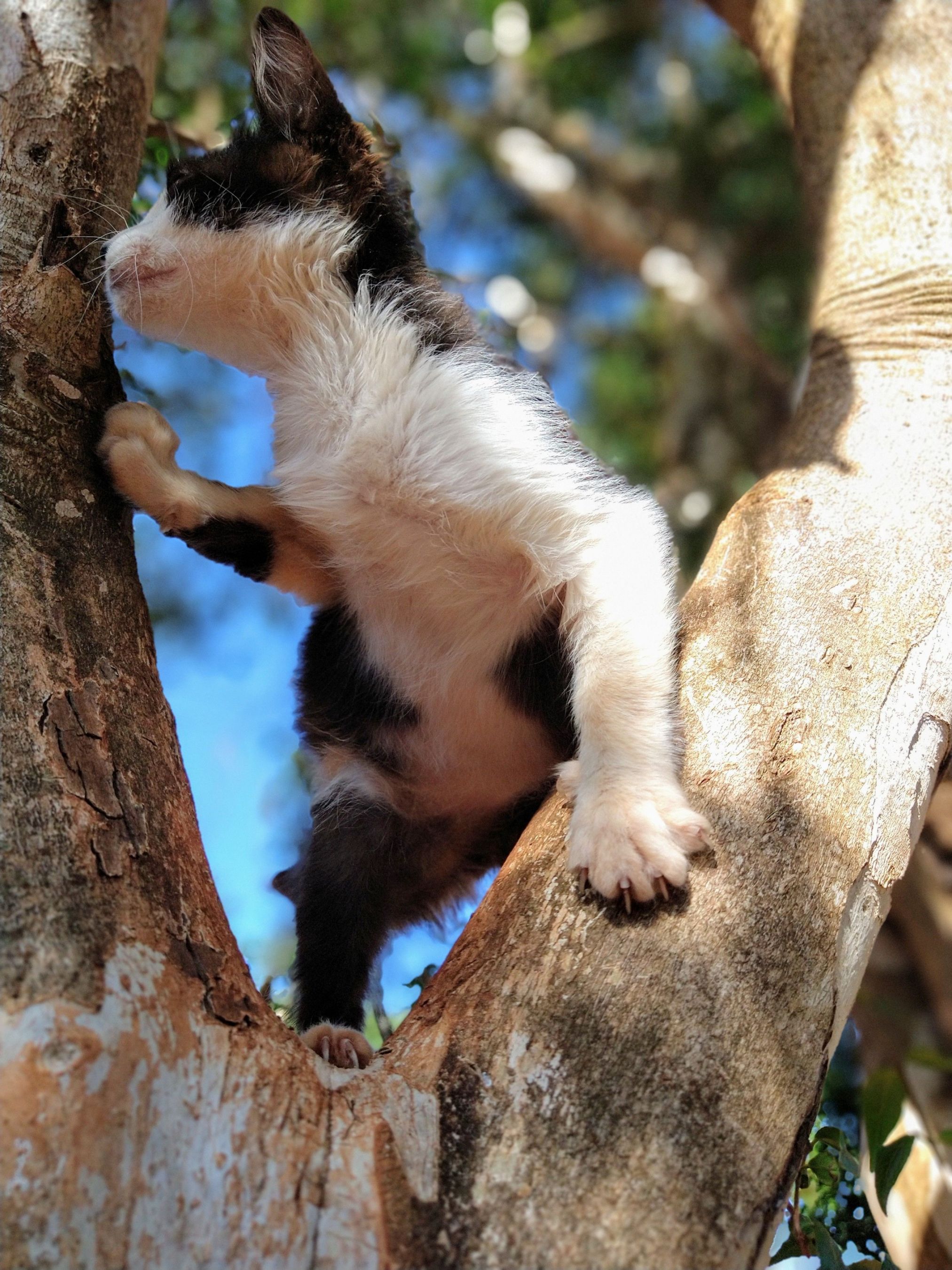 inbound8758870591935121112