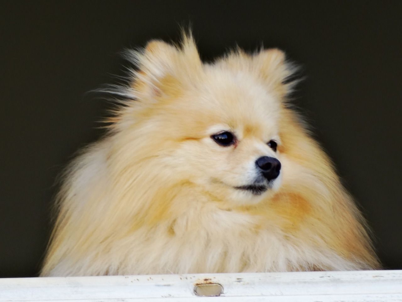 inbound1235615600364780374