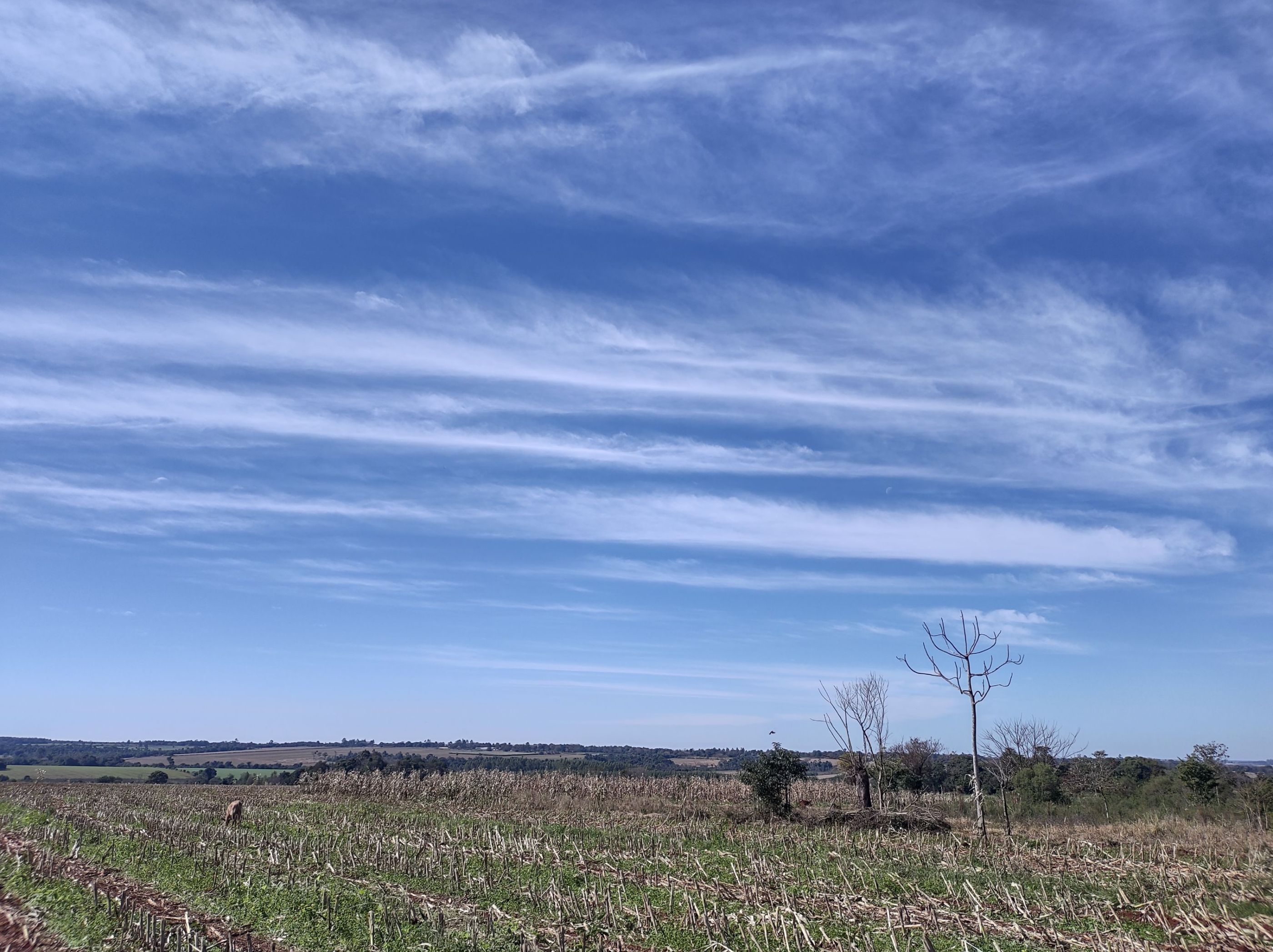IMG_20250702_133226089_HDR
