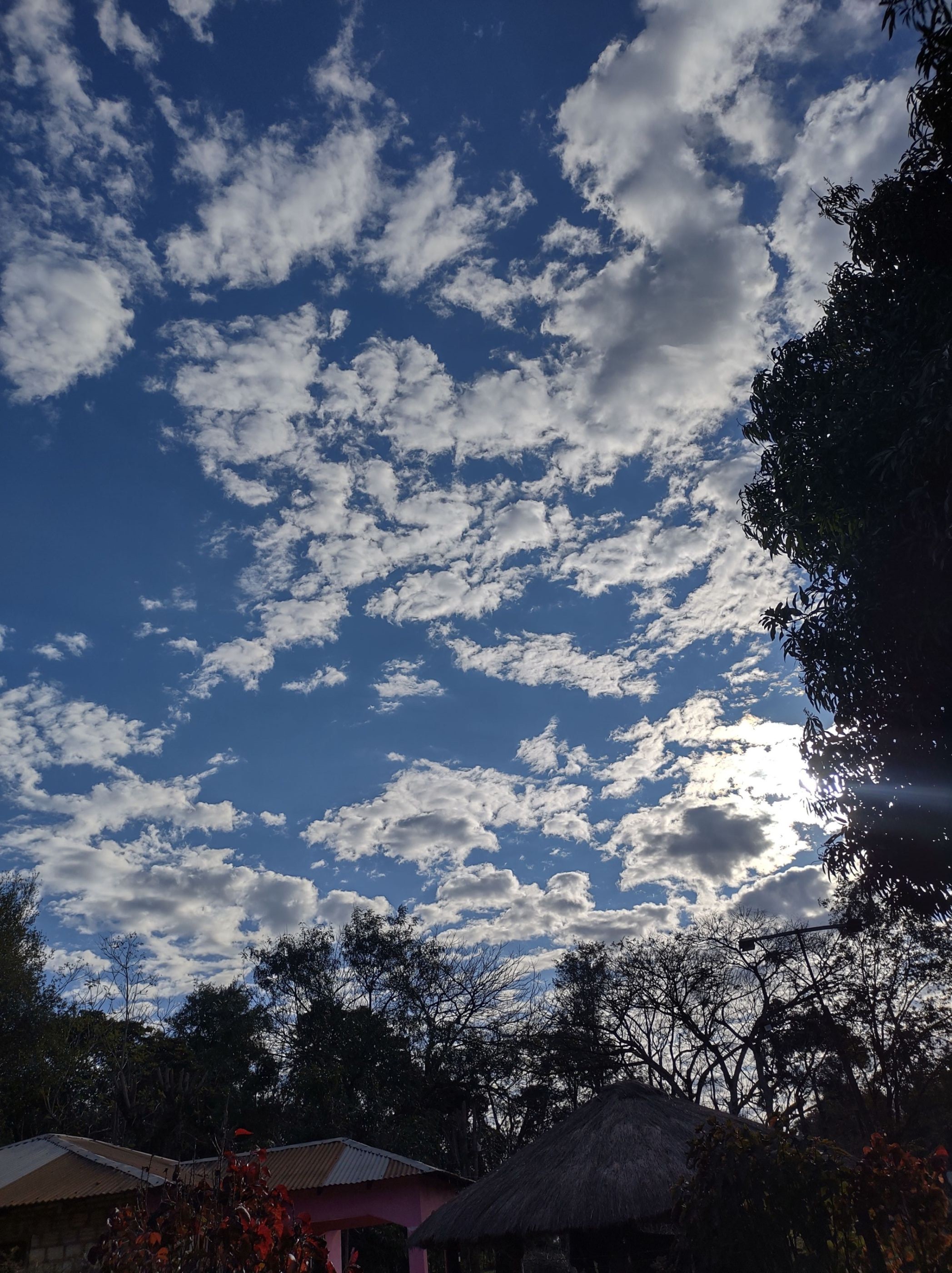 IMG_20250701_160659159_HDR