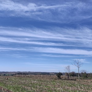 IMG_20250702_133226089_HDR
