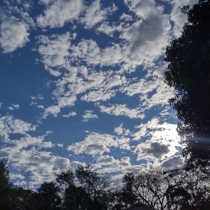 IMG_20250701_160659159_HDR