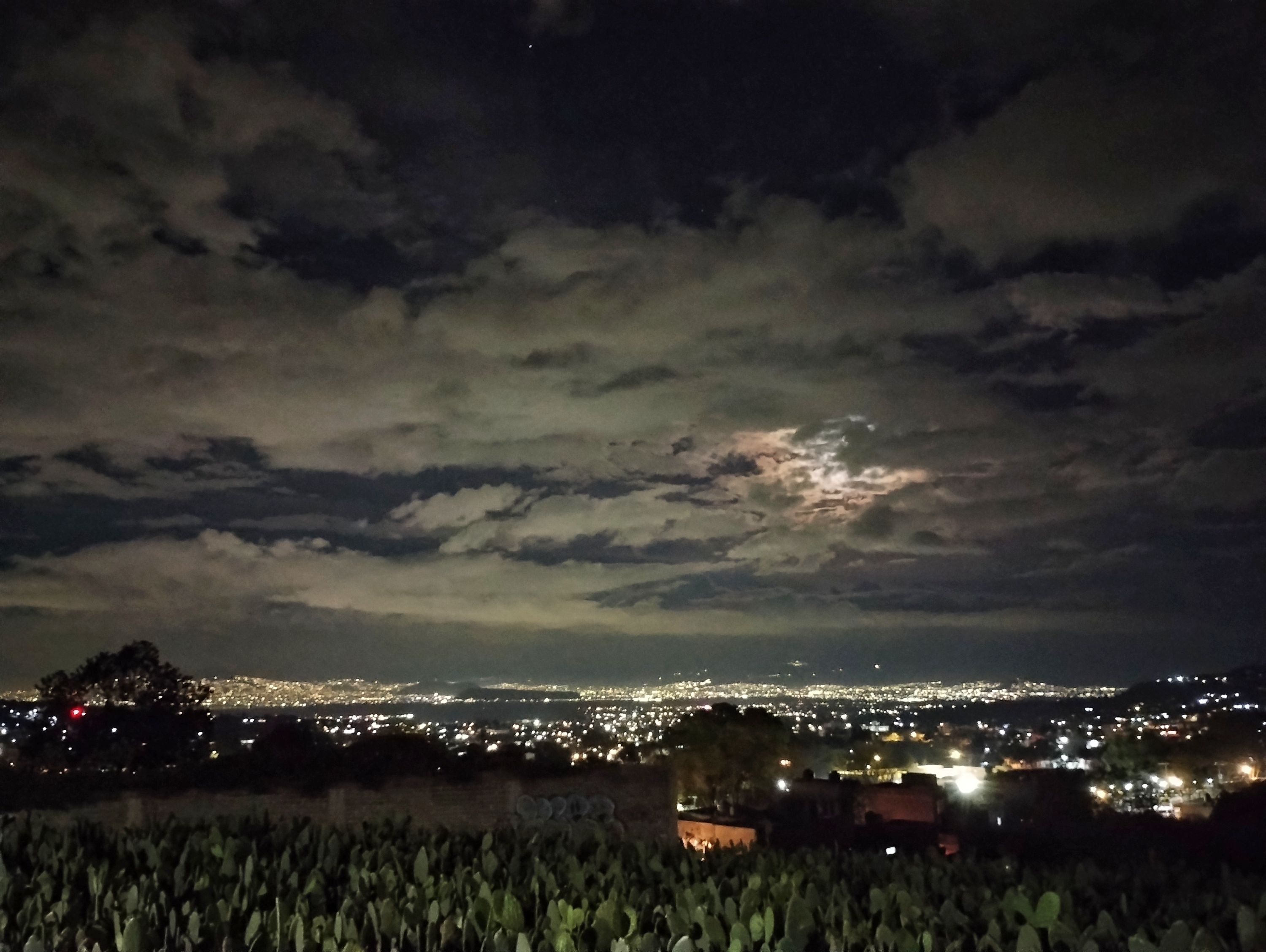 IMG_20231129_211226735-01