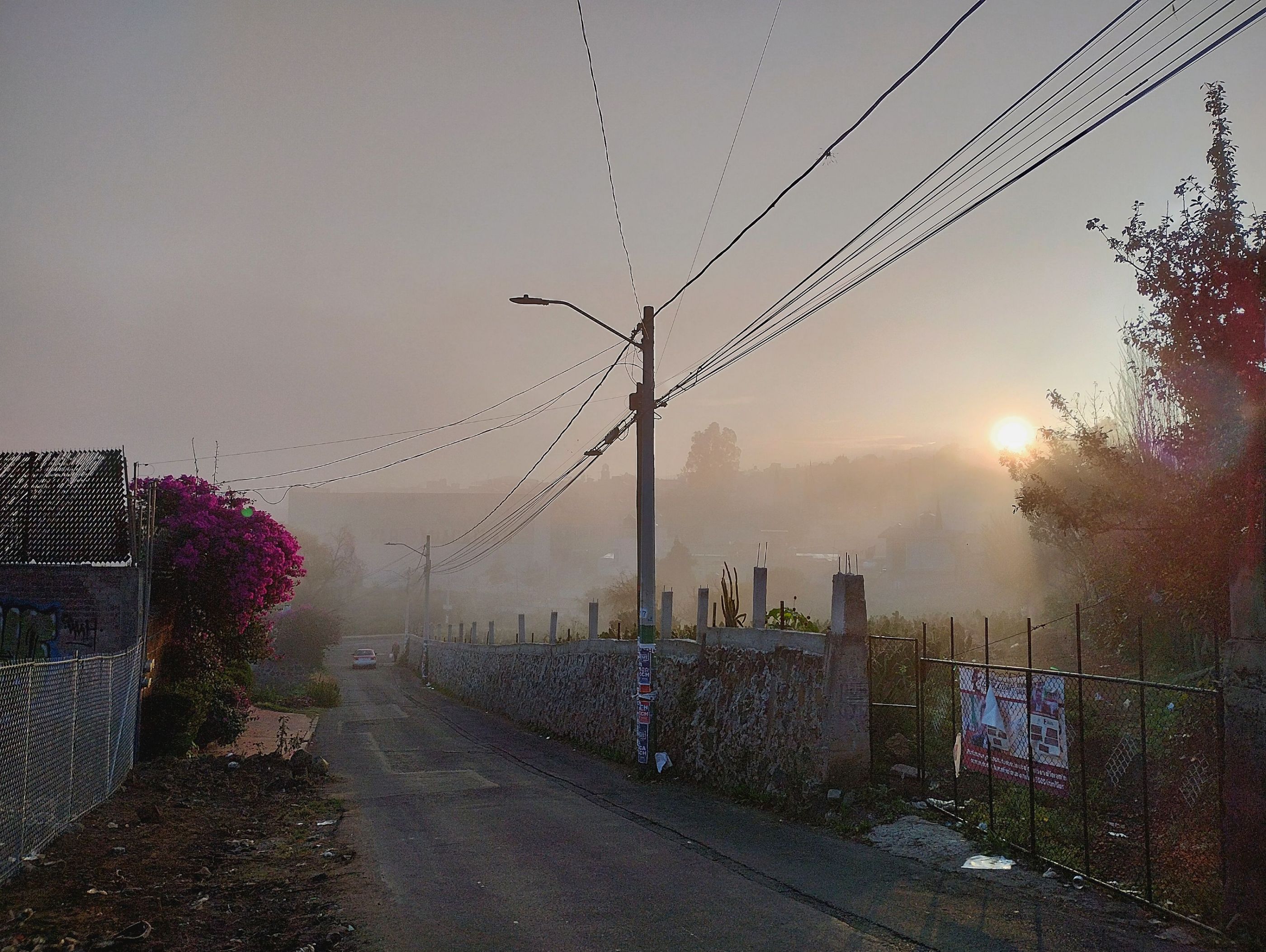 IMG_20231212_072645828_HDR-01