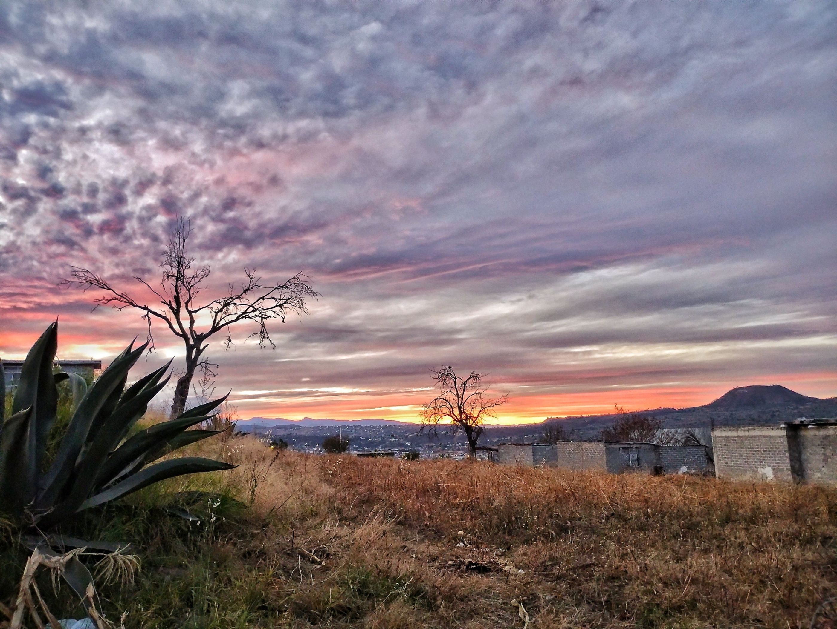 IMG_20240106_182512218-01