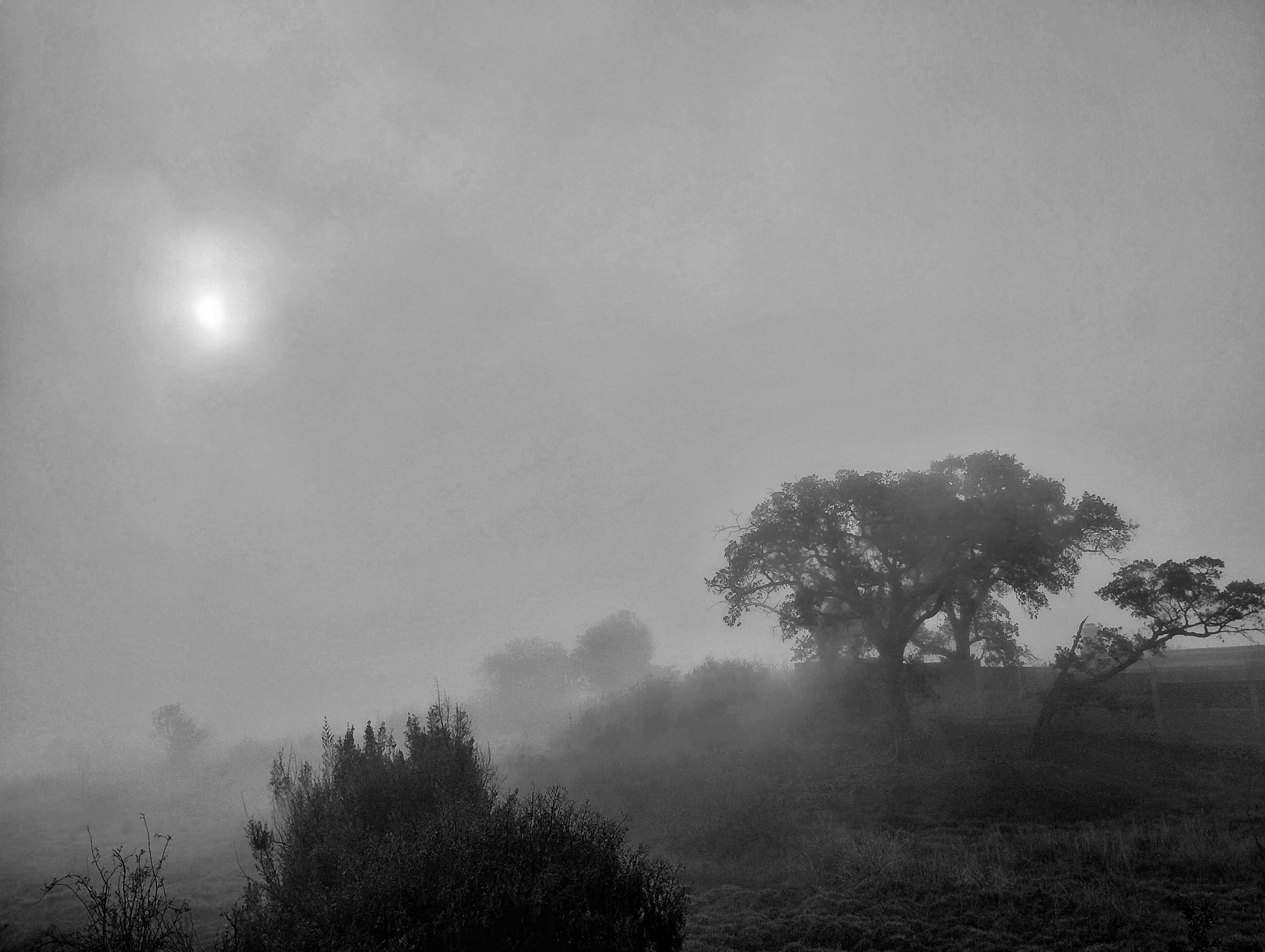 IMG_20231212_083310644_HDR-01