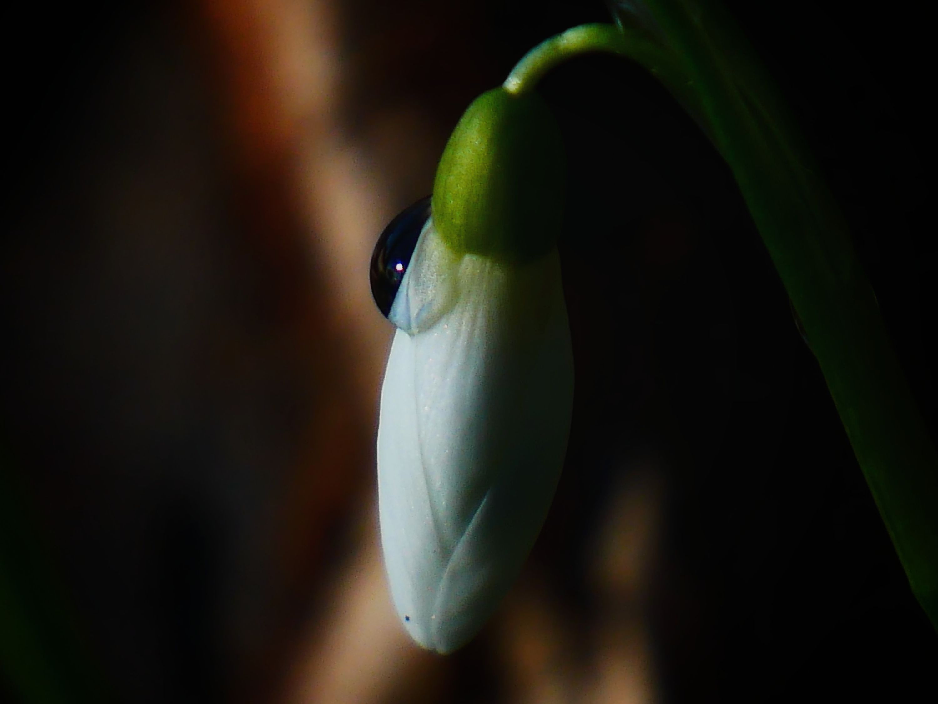 inbound5337201418693578729