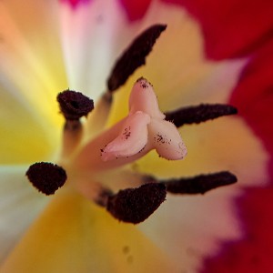 IMG_20210227_131041_315