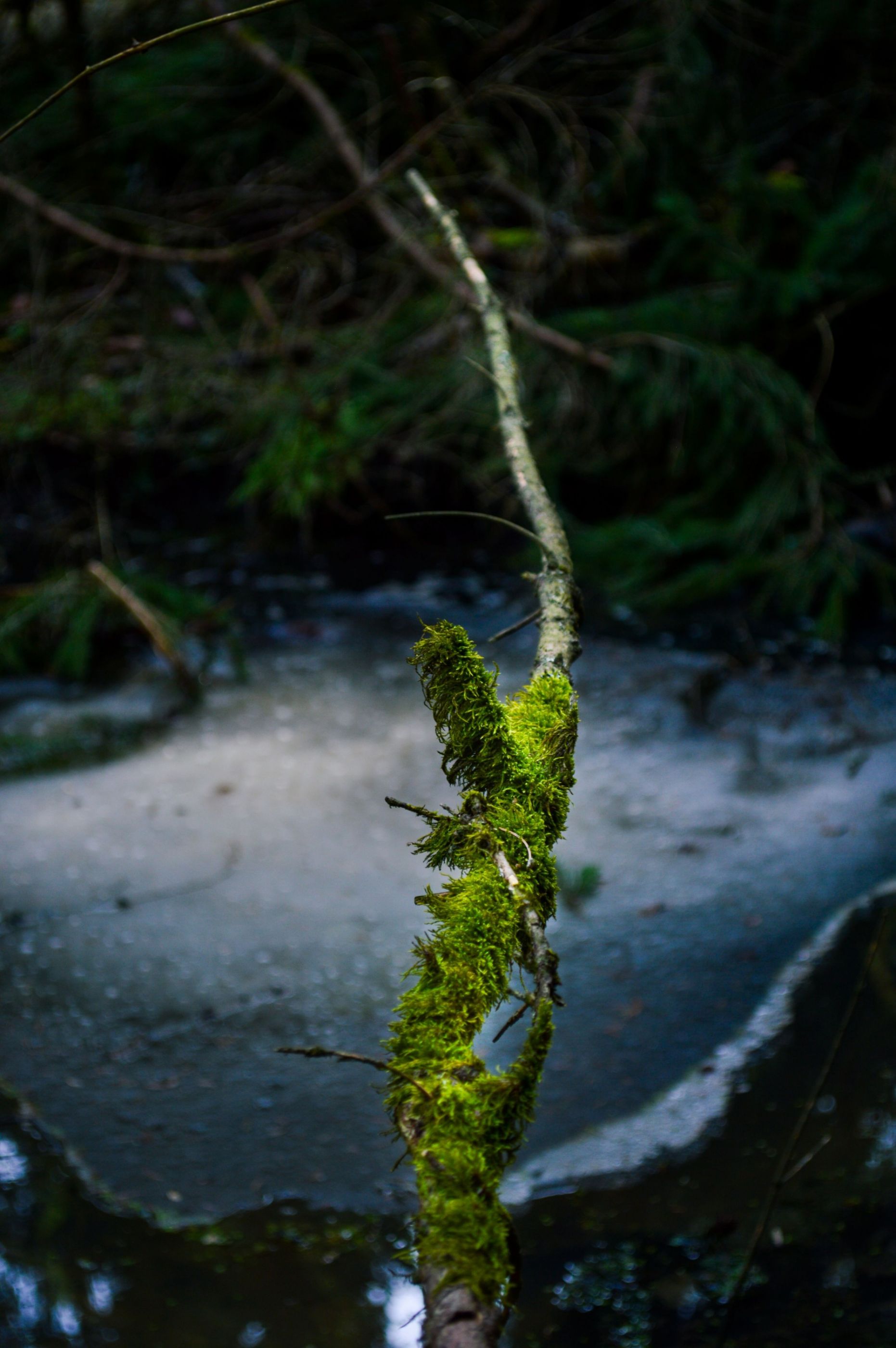DSC_0063