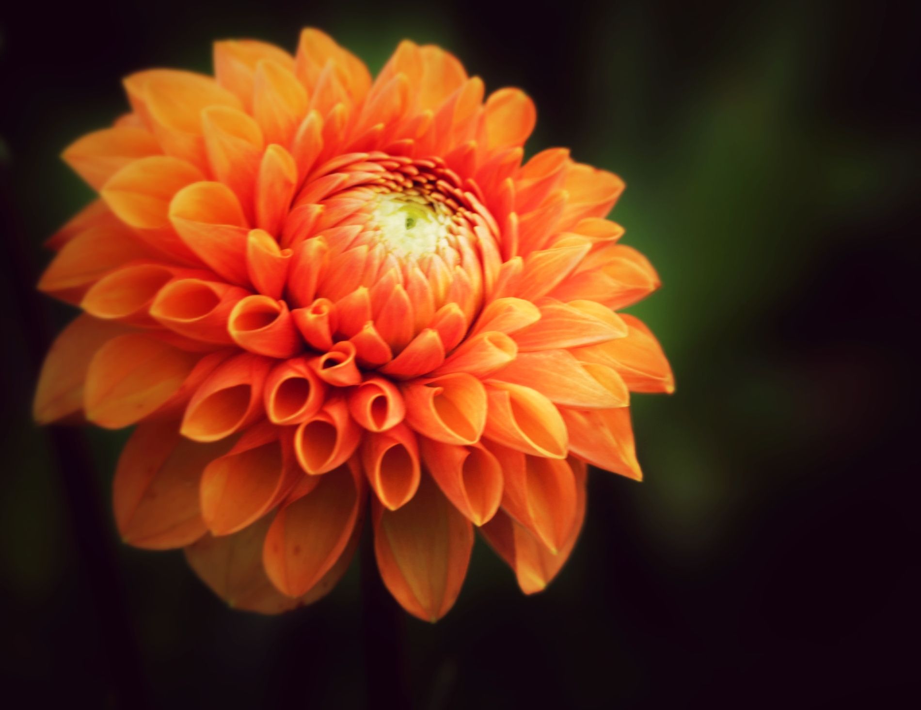 IMG_20200906_185521-02