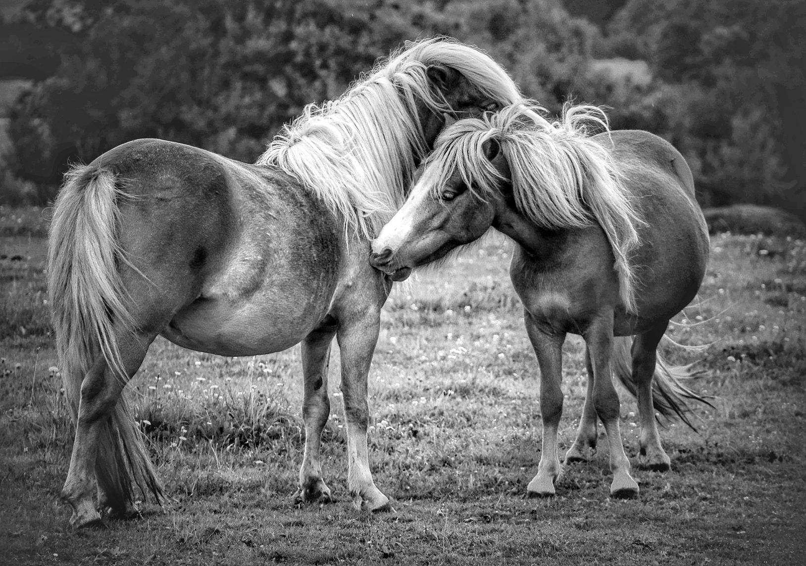 IMG_20201206_075255-01