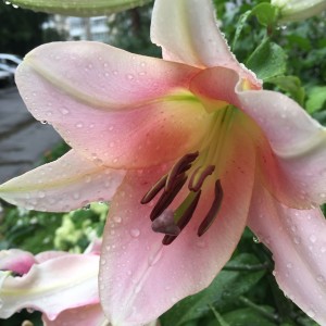 010