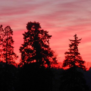 Waldbrand?