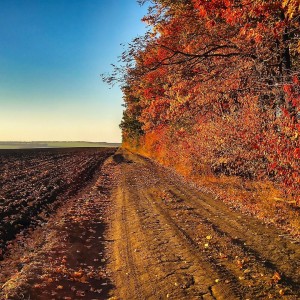 Autumn