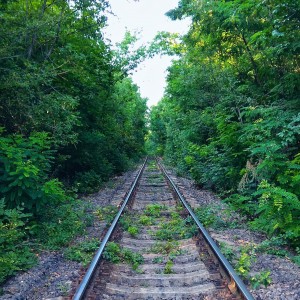 railway in the forest