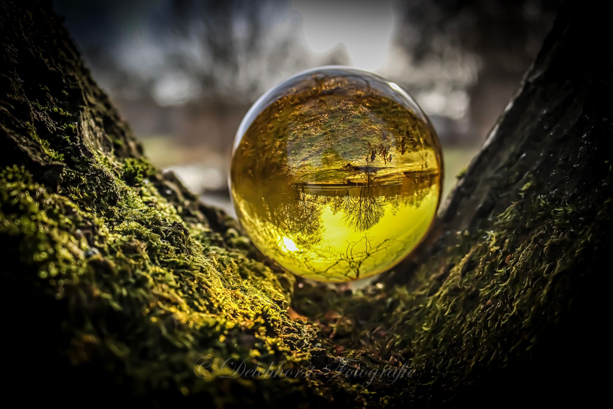 Glaskugelfotografie gelbe Kugel