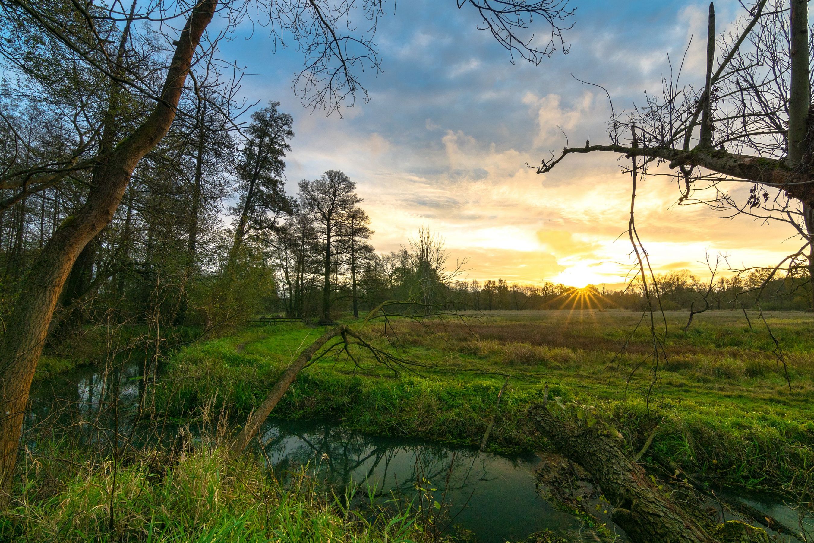 Sonnenaufgang im Spreewald