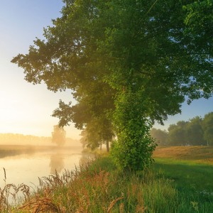 Natur einatmen