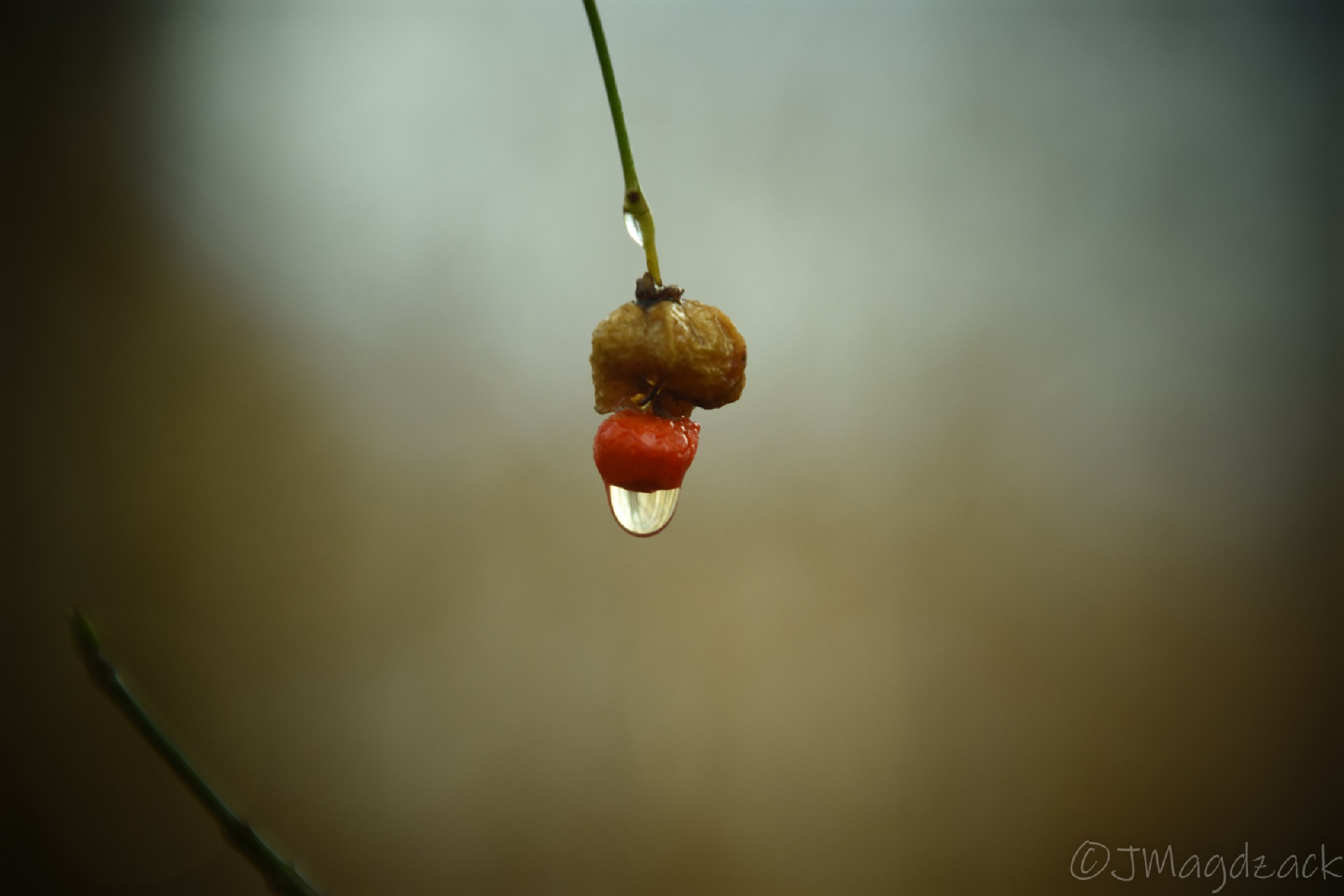 inbound2182314168798118536