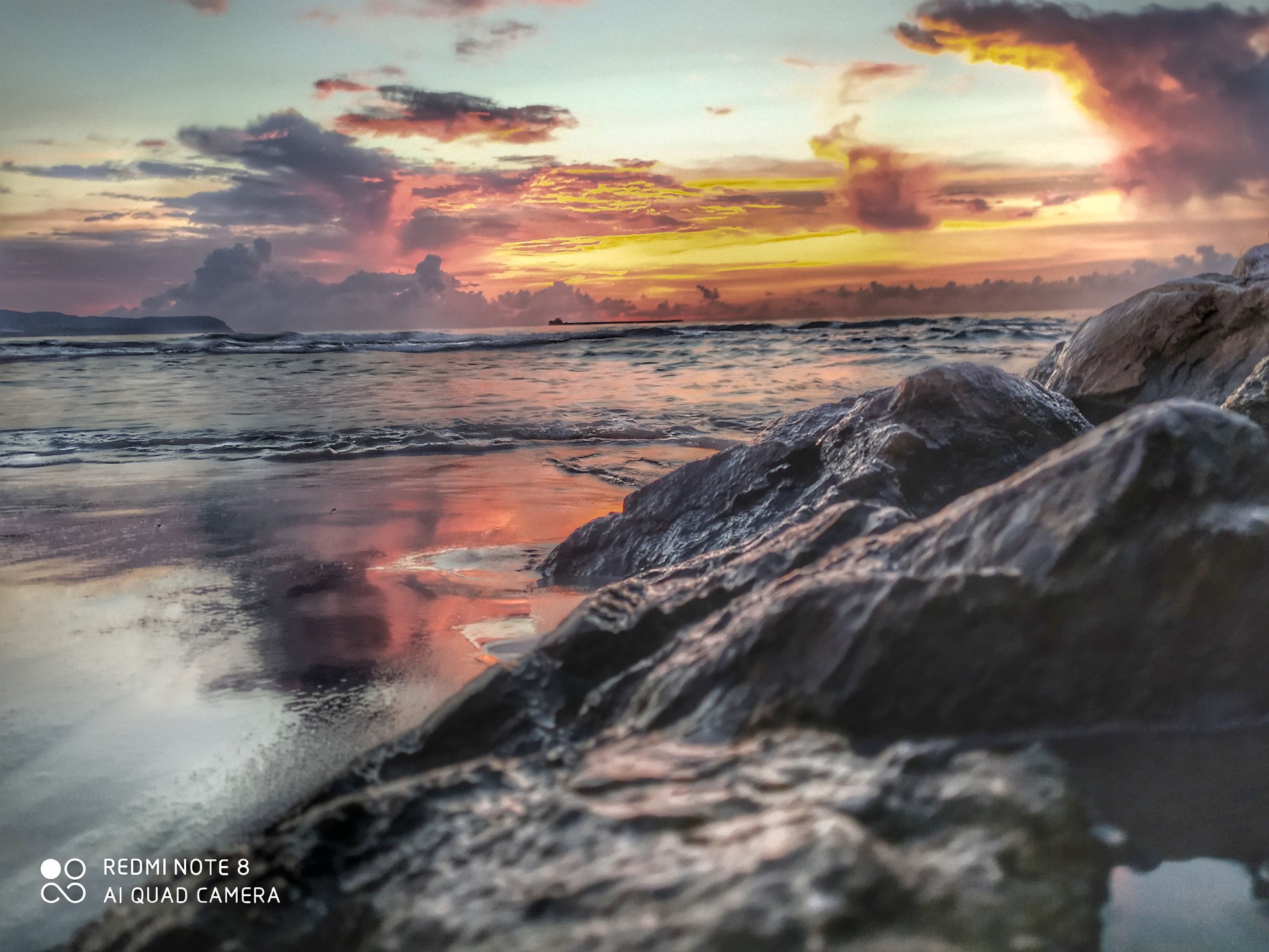 inbound7428944782875676841