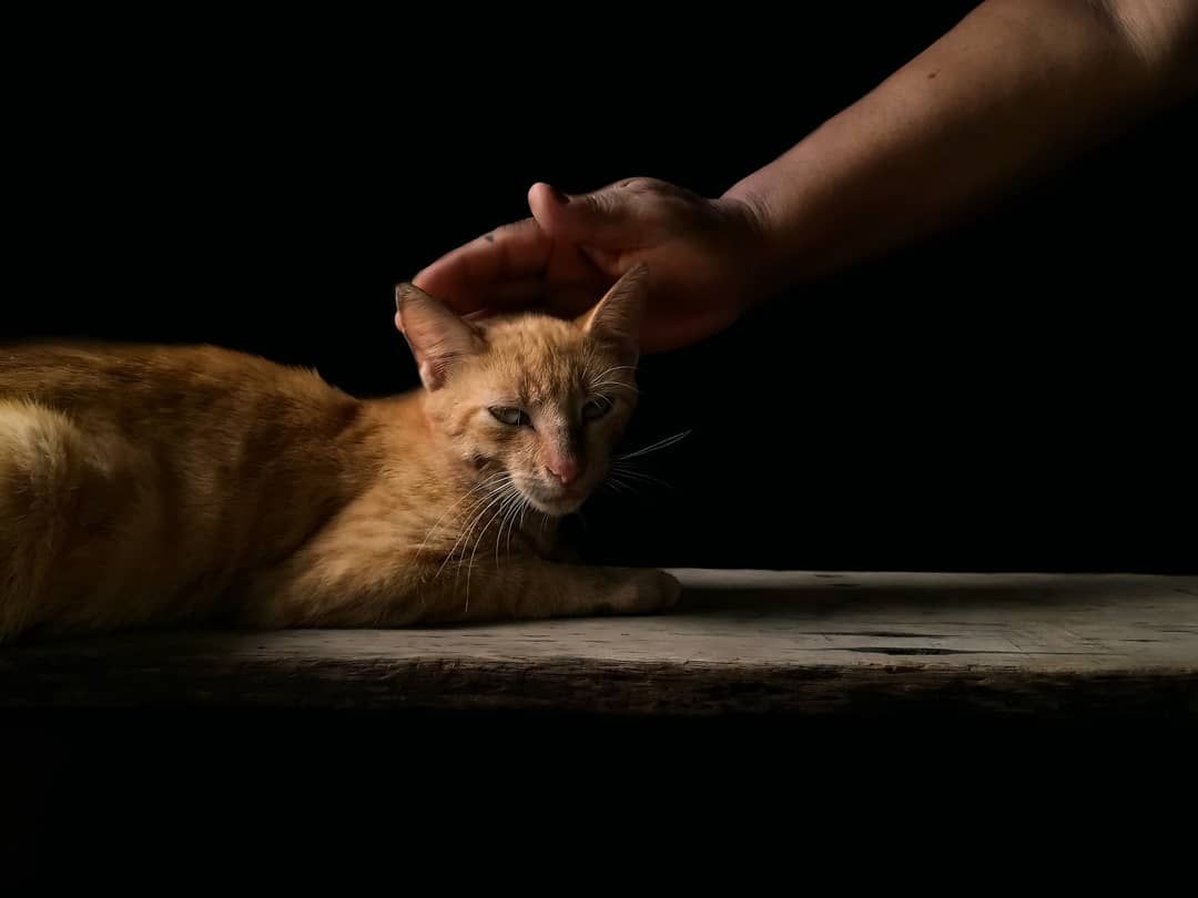 IMG_20210921_163551_251