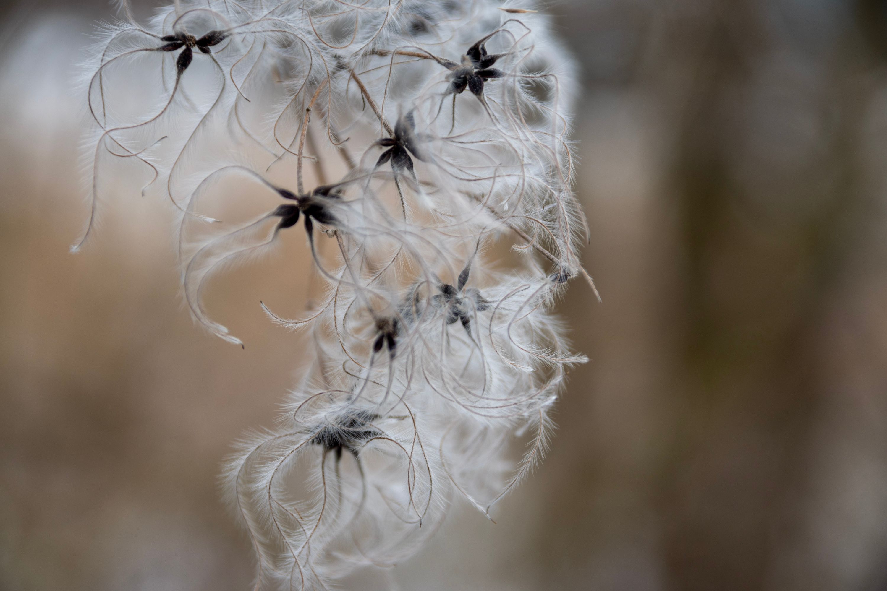 inbound3082107493898545602