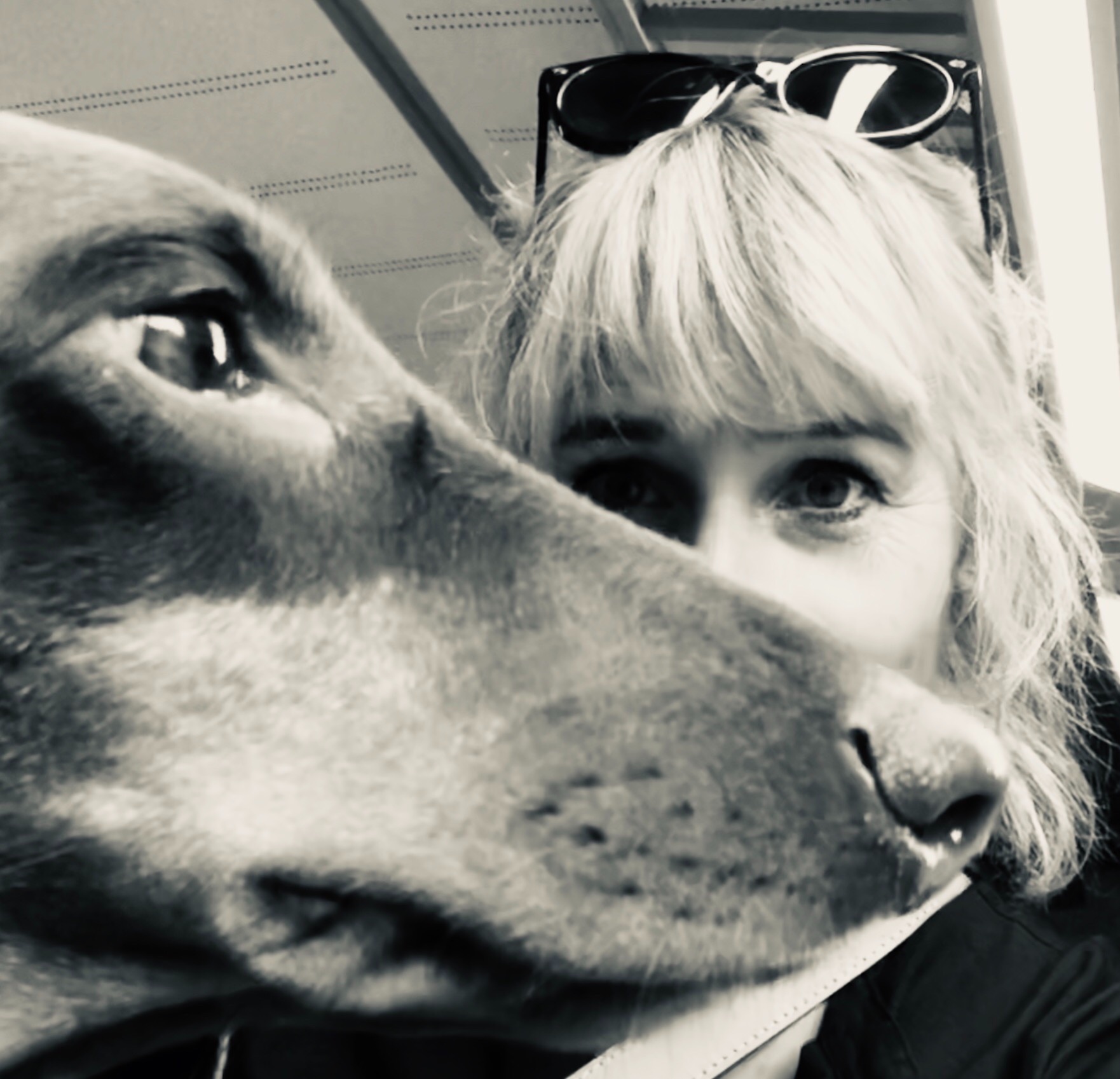 41ADF333-6AD7-46C9-8FF2-937CAFF9E20A