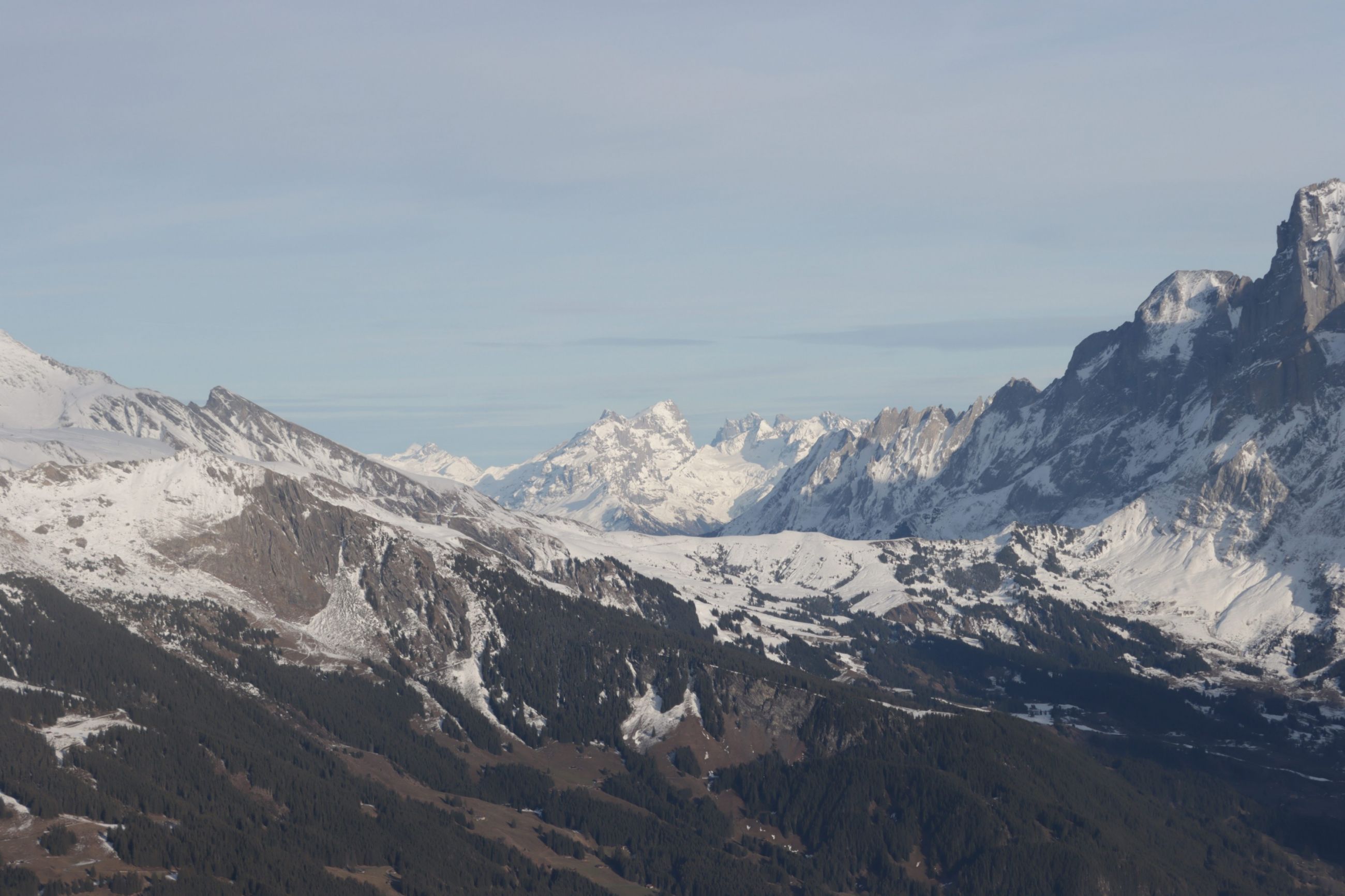 20221228145456_IMG_6613