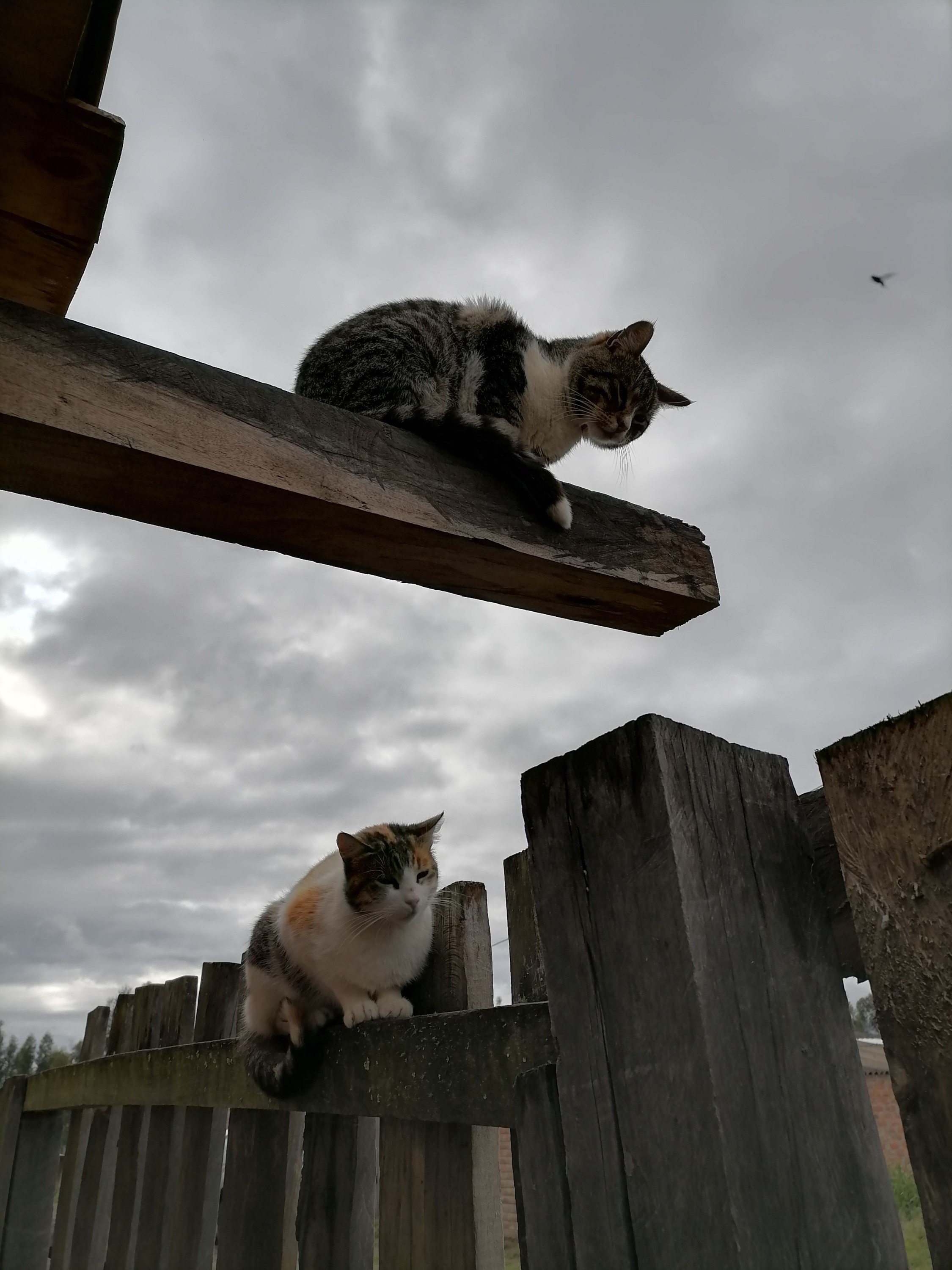 inbound884265393783860160