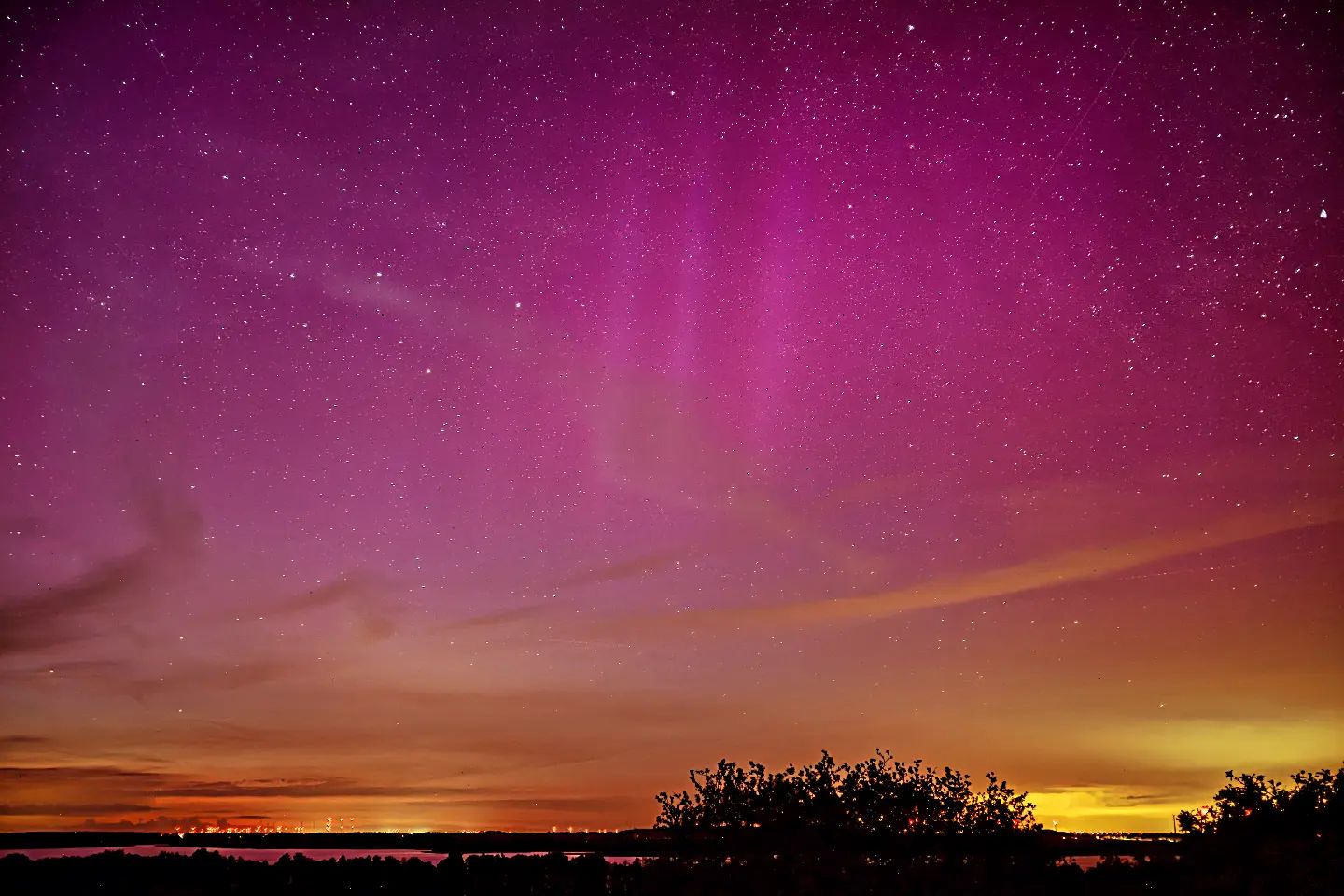 IMG_20240513_083114_145