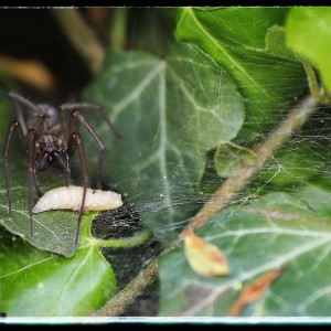 3QVjc-kk67qdi55hkwfcowmn3hsi4u-01