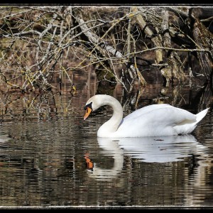 JmqmI-yxdbi3spj6uk6lcvoeo7vxje-01