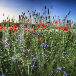 f43hz-ukfamttz76idn4smgksad4mb-01