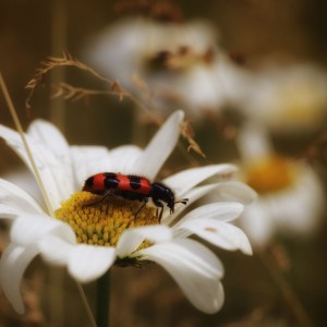 Q7608-egk34ldsunvpznngih6vebfq-01