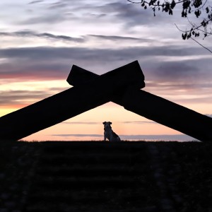 nt3cJ-ydalbosuzxnrcqaihcc2jwsy