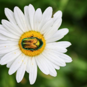 re7zj-mlelua4udl3roaam5zpuok2t-01