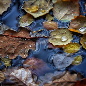 IMG_20221113_114745_478