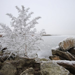 WKsnZ-xrb6555t6qyqk7dntv2u4cou