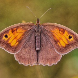 IMG_20230726_124315_162