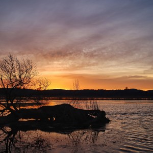 9jdZQ-mj7fgp7d75llssincjrzs273